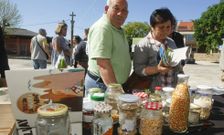 En Meis se pod�an intercambiar semillas y adquirir todo tipo de plantas para la huerta. 