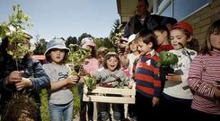 Los escolares de Pilo�o aprovecharon la tarde del viernes para realizar la plantaci�n del huerto en el centro.