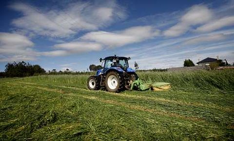 El sector donde hubo mayor cada porcentual de parados en la provincia fue el de la agricultura. 