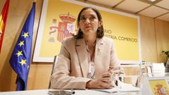 La ministra de Industria, durante la reuni�n de la mesa de seguimiento