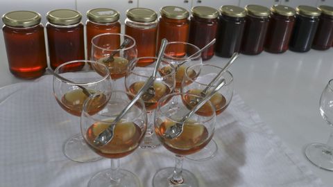 Imagen de una cata de mieles de Galicia