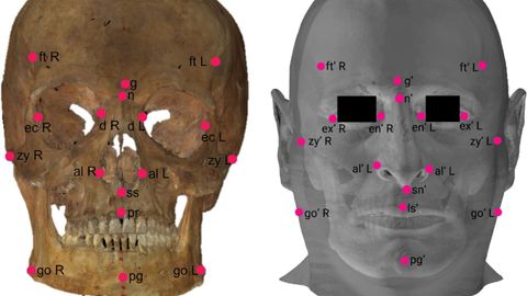 Los cientficos han utilizado imgenes faciales obtenidas por tomografa axial computarizada (TAC) y escaneos en tres dimensiones de crneos para, a travs de la superposicin en distintas perspectivas, comprobar la efectividad de la herramienta desarrollada.