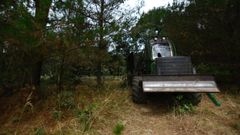 El hombre pereci� en una finca de la parroquia lucense de Camoira