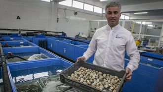 &Aacute;ngel Mari&ntilde;o, o novo responsable da Asociaci&oacute;n Galega de Comercializadores de Marisco