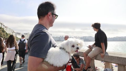 Ambiente previo al eclipse en el paseo mar�timo de A Coru�a