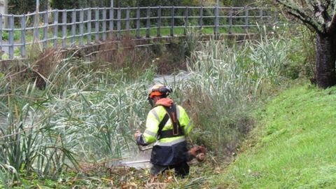 Inicio de los trabajos de limpieza en el cauce del r�o Basteiro, en Neda, este lunes. 