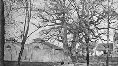 El Carbay�n