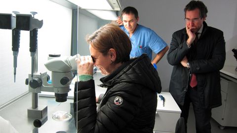 Carmen Moriy�n observa a trav�s del microscopio una de las muestras de Asturbiotech, la primera empresa que realiza la fecundaci�n de embriones �in vitro� de ternero en Asturias