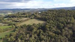 Una buena gesti�n del monte ayuda a la sostenibilidad territorial