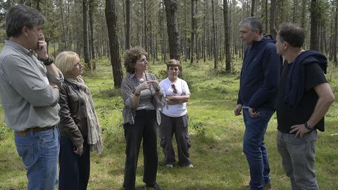 Luisa Pi�eiro visit� ayer una zona afetactada por la banda marr�n en Vilasantar