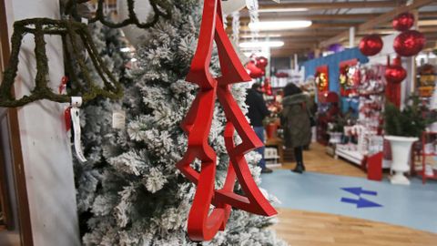 Navidad en Viveiros O Pi�eiro