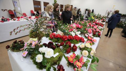 Camelias en la anterior de la Mostra Internacional