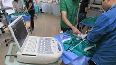 Un ec�grafo, en imagen de archivo