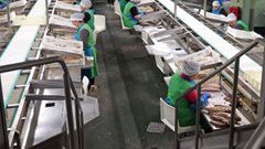 Actemsa es una de las empresas exportadoras de referencia en la comarca