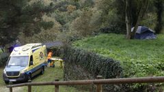La ambulancia acudi� a trasladar a la mujer, que estaba herida
