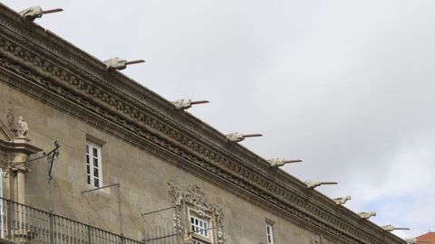 En las obras de rehabilitaci�n colocaron tubos met�licos en parte de las g�rgolas de la fachada