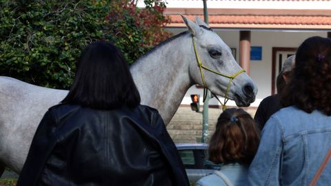 Presentacin de la Asociacin Cabalar Serra do Barbanza