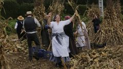 Festa da Esfolla en La�as (Arteixo)