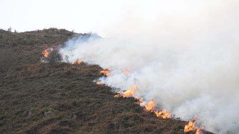 Incendios forestales en Asturias
