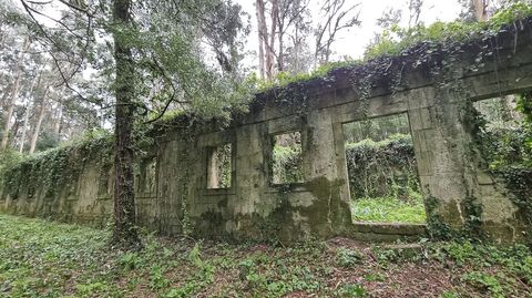 Isla de Tambo. Restos del lazareto