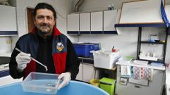 Alfredo L�pez, de Cemma, trabajando en laboratorio