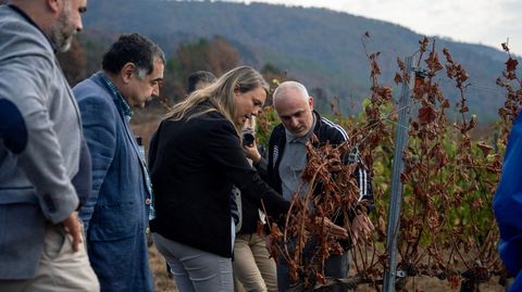 De Miguel visit los viedos daos por el fuego de la bodega Joaqun Rebolledo en A Ra.