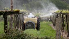 La prohibici&oacute;n de un insecticida redujo un 4 % la facturaci&oacute;n de Bayer en Espa&ntilde;a