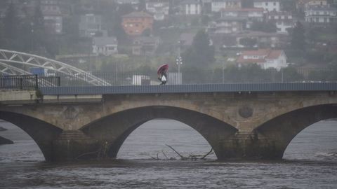 Troncos y ramas bajo el puente de O Burgo en Pontevedra