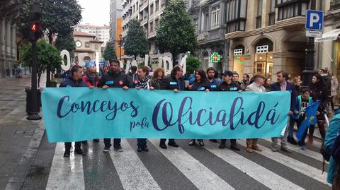 Manifestaci�n pola oficialid� del asturianu