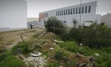 La maleza suple a las industrias en varias parcelas industriales de Sete P�as (Cambados). 