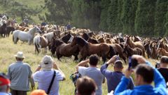 La tradicional rapa de O Buio, Boimente