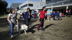 Presentacin de Marshall, un perro de asistencia que fue entrenado para atender a Gisela, una alumna con discapacidad del CEIP Camio Ingls de Sigeiro