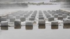 El novedoso paso de peces en el ro Mio en Lugo