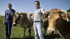 Las �ltimas vacas de Sanxenxo