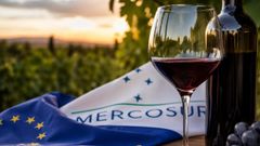 El sector del vino observa grandes oportunidades en el mercado americano