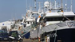 Barcos pesqueros de altura atracados en el puerto de Marín en el 2022