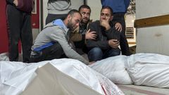 Tres hombres lloran junto a los cadveres de varias vctimas de un bombardeo del Ejrcito israel en un hospital de Beit Lahia, en el norte de la Franja de Gaza