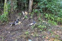 Lugar del monte en el que el mi�rcoles aparecieron los restos �seos. 