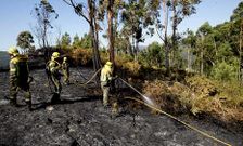 Las brigadas estuvieron refrescando todo el d�a el monte y as� lograron frenar un rebrote en Silvoso.