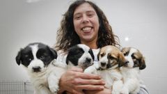 La protectora de animales de Vilagarc�a al l�mite de su capacidad