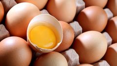 Los hogares espa�oles consumieron un 3 % m�s de huevos�en el �ltimo a�o