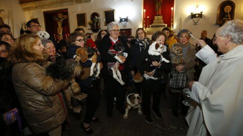 MISA Y BENDICIN DE LAS MASCOTAS CON MOTIVO DEL SAN ANTONIO EN LA IGLESIA DE LA ORDEN TERCERA