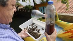 Urgorri muestra la trampa casera con la que caza las avispas