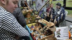 Feira de fungos e cogomelos de As Pontes