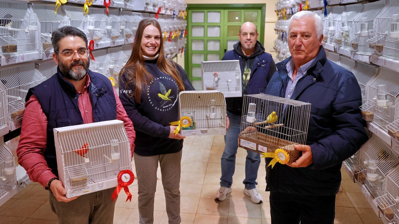 Setecientos pájaros de campeonato al lado de la ría de O Burgo