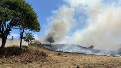 Incendio forestal en Pastoriza, Arteixo, este sbado