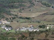 Vi�as pr�ximas a las viviendas en Montefurado, una de las parroquias incluidas en el mapa. 