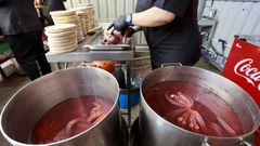 Calderos del pulpo en el San Froil�n
