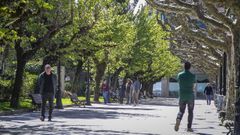 A Pobra desbanca a Noia y es el �nico municipio que supera la barrera de los 17.000 euros.