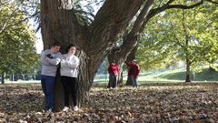 El proyecto Ecofriendly de Down Corua se propone facilitar la insercin laboral mediante la formacin terica y prctica de agentes de educacin ambiental